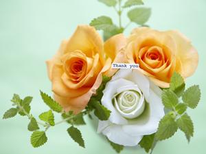 安くAmazonギフト券をゲットする